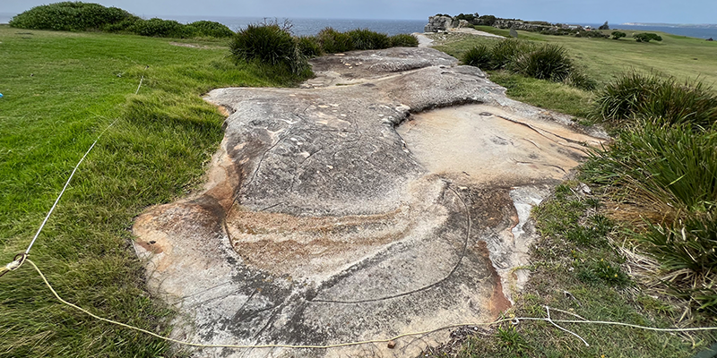 Aboriginal engravings within Bondi Golf Course. Photo © Briar Jensen.