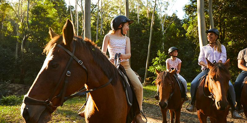 Family rides horses in Glenworth Valley