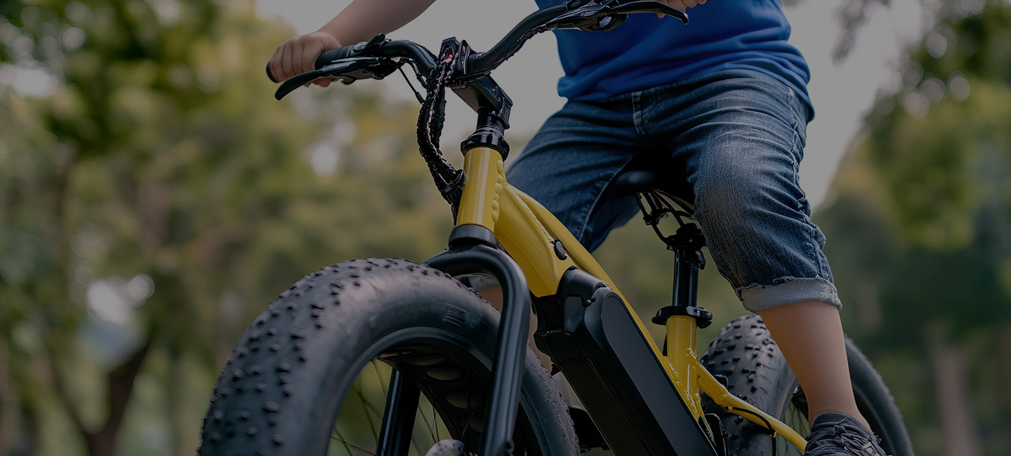 ebike
