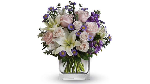 Discounted Freshly Delivered Petals Florist Flowers Member Benefits The Nrma