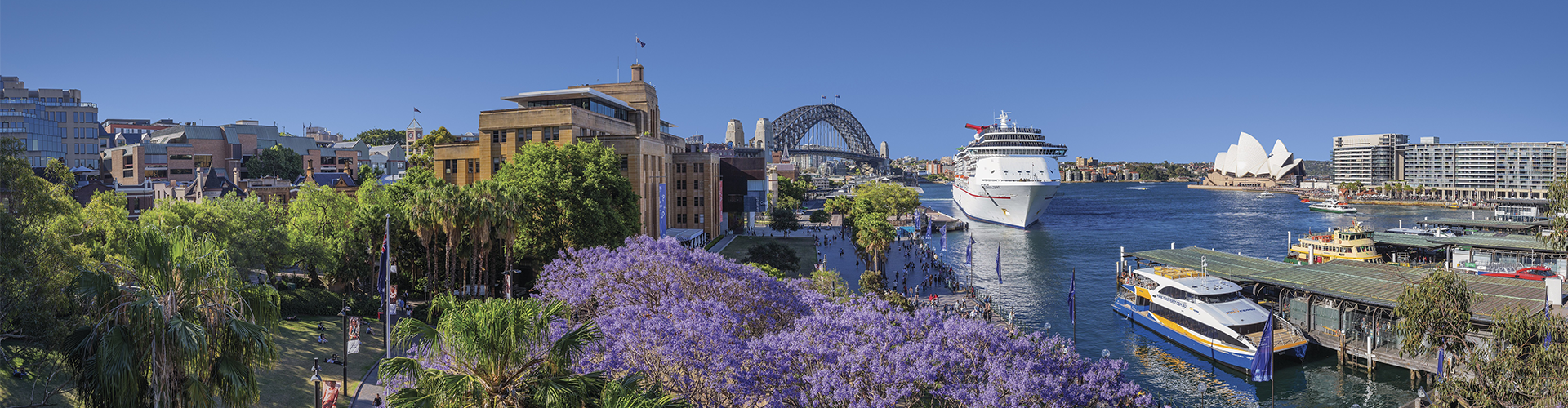 A vista view of Circular Quay