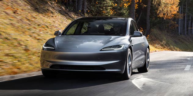 Dark silver Model 3 with autumn leaves in background
