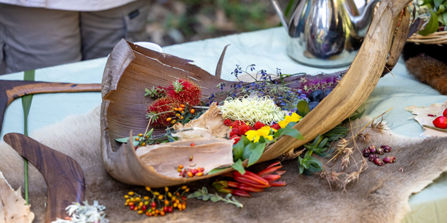 Bush Tucker Experience, The Royal Botanic Garden Sydney,