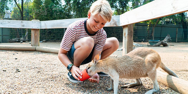 Australian Wildlife Parks
