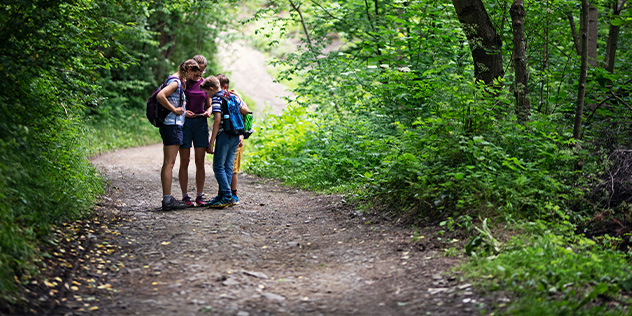 three people walking along a nature trail