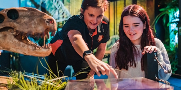 female museum employee showing teen girl features of an exhibit with dinosaur scull to the left