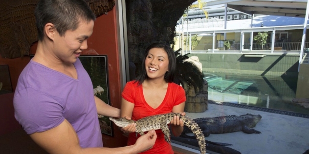 man and woman hold a small crocodile with large crocodile visible behind them separated by the glass of its enclosure