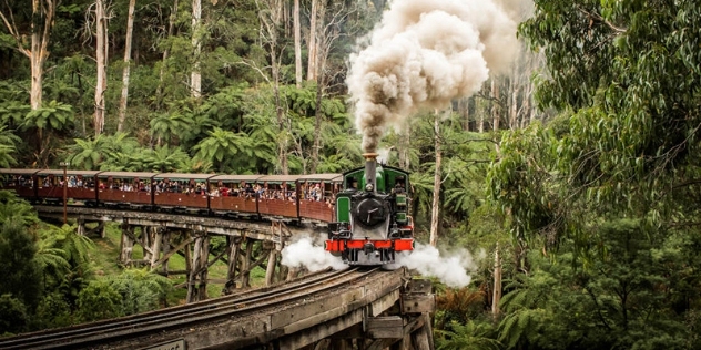 Green vintage steam train puffs smoke as it rounds the curve through rainforest with happy people waving from its brown carriages