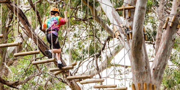 view from below of child in hard hat and harness traversing tree top course