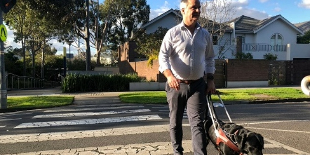 A visually impaired man crossing a street with his support dog beside him.