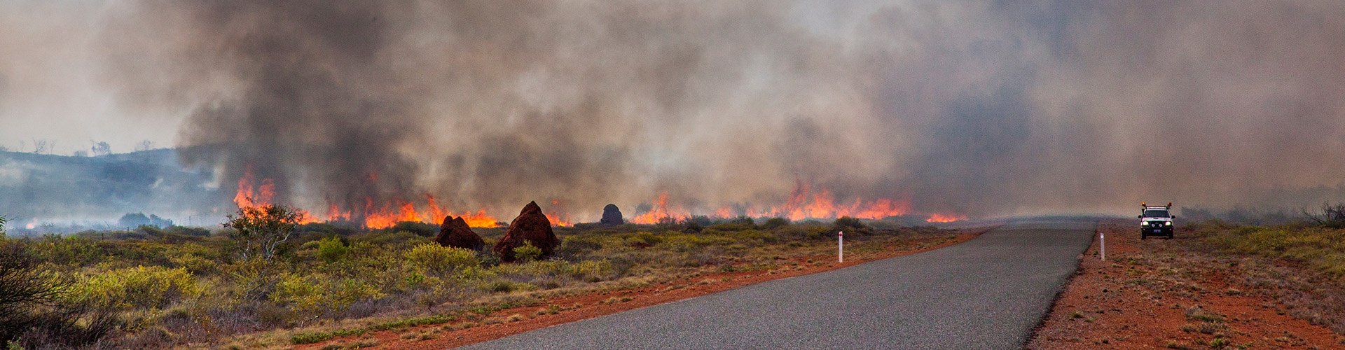 Bushfires along a road