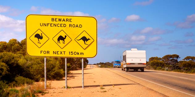 Car pulling a caravan on an outback road next to a yellow sign with animal icons on it
