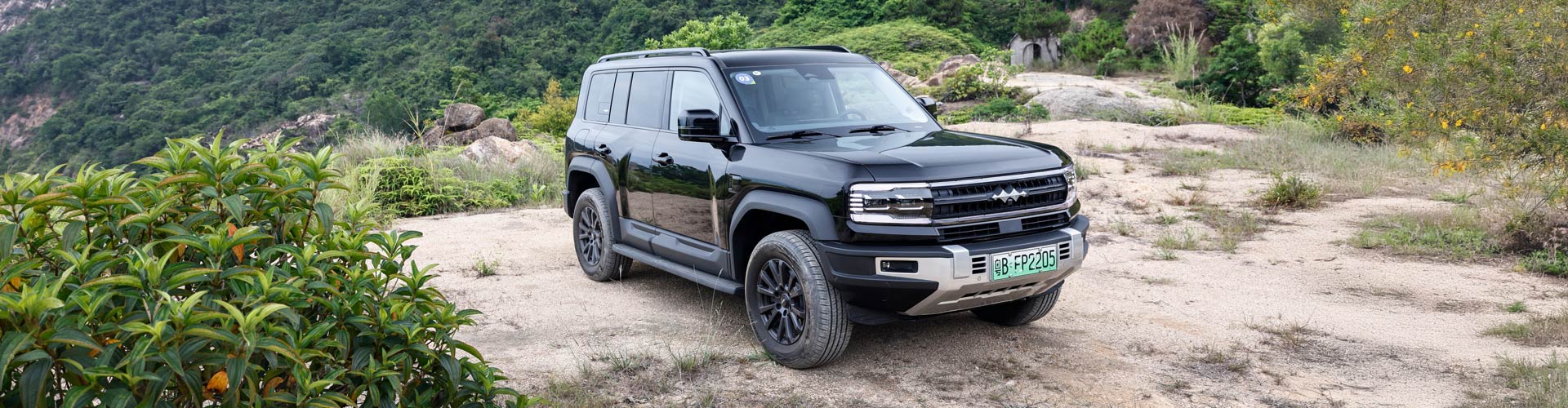 Denza B5 SUV parked in rugged nature setting