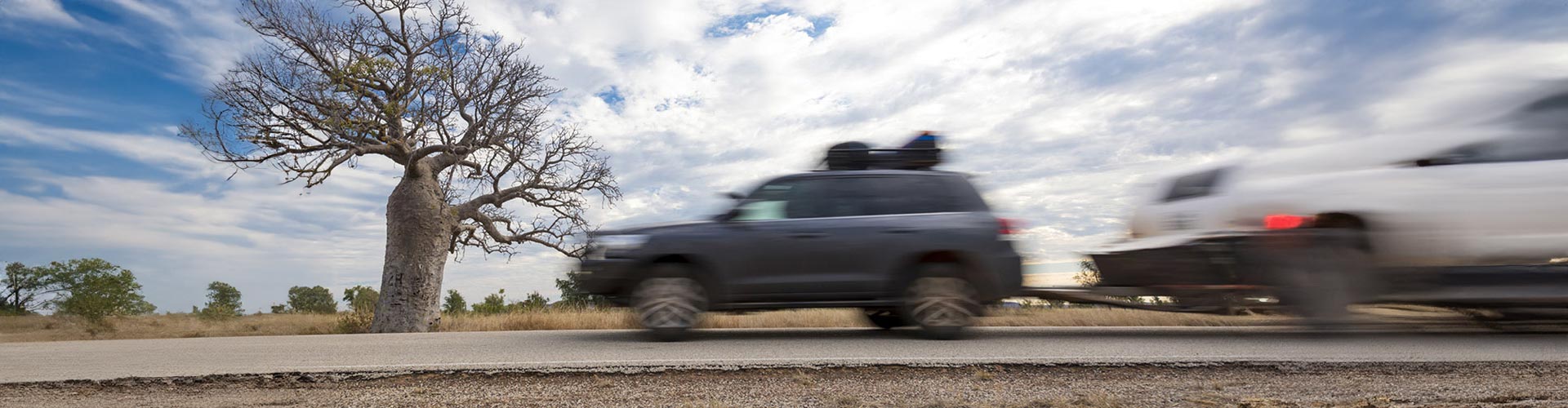 An SUV tows a carvan past a boab tree