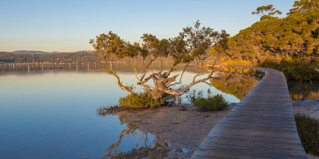 Waterside boardwalk near Merimbula, NSW