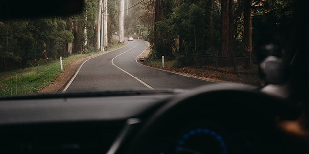 a car driving through the woods