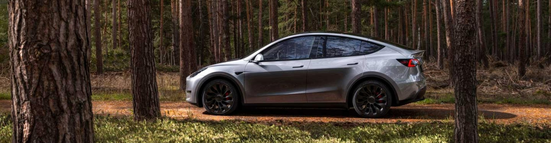 Side view of a Tesla driving along a dirt road.