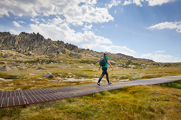 A hiker walking through Kosciuszko National Park in summer.