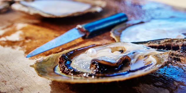 A pearl in an oyster shell next to a shelling knife