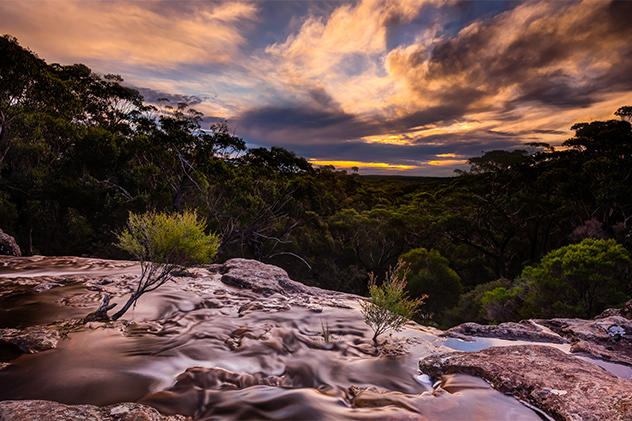Dharawal National Park