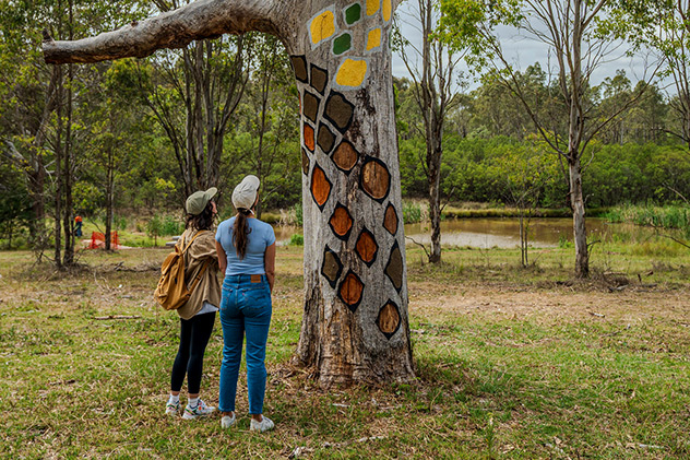 two people looking up at a tree in gabrugal yana