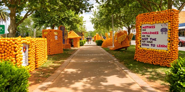 oranges cover square structures along a path lined with trees