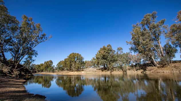 Macquarie River lined with trees on a blue sky day