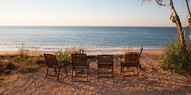 Four deck chairs on a red sand beach next to a tree