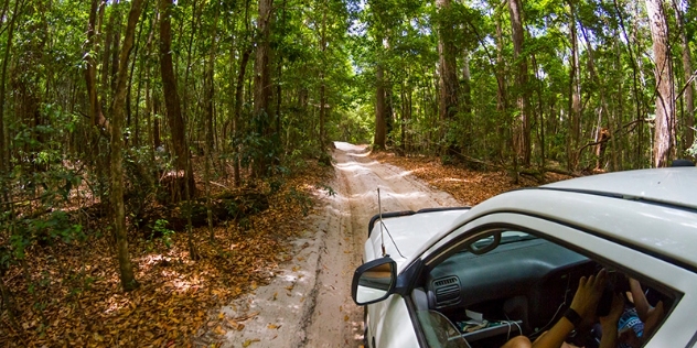 left side close up view of white four-wheel drive vehicle on rainforest dirt road