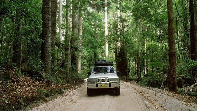 4WD rainforest road oncoming silver four-wheel drive vehicle driving through rainforest on a dirt road