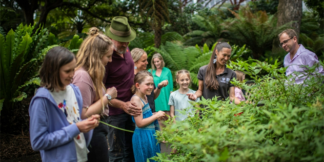 A group of children and adults stand among garden bushes and ferns, while a guide speaks to them. 