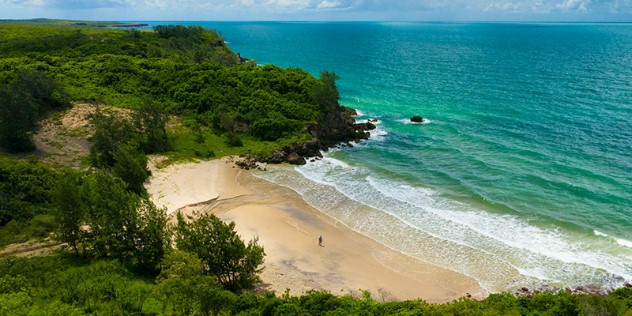 A heavily treed, green shoreline hugs a small, sunny beach with a single person on it, leading to turquoise water.