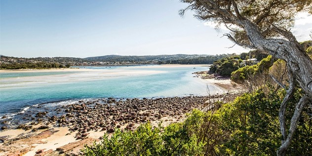 Beach tree branches and green scrub in the foreground lead to a white sandbar beach, with shallow, turquoise water that spreads far into the distance, a town can be faintly seen at the opposite shore.