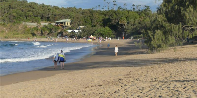  A sandy beach bustling with tourists surrounded by a forest of tall trees and a few houses built into the hill. 