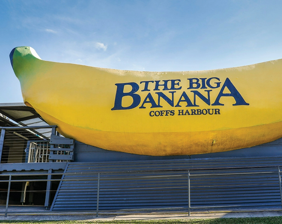 big-banana-close-up-nsw-900x715 Slide 5