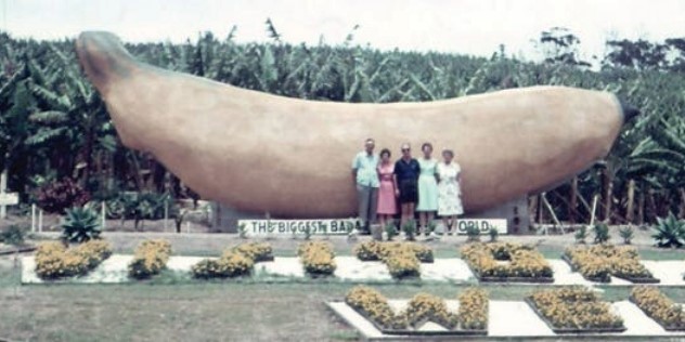 A 1964 colour photo of two men and three women in front of a fifteen metre long realistic-looking banana sculpture, with grass and the words Visitors Welcome spelled in yellow flowers on the grass in front of them.