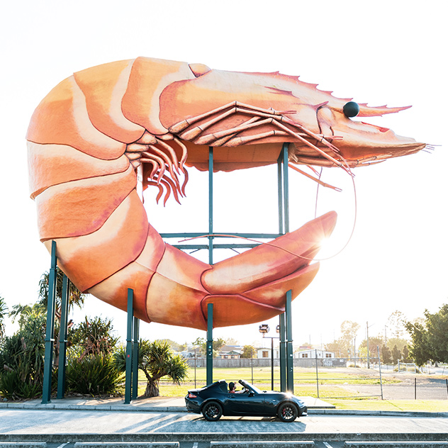 Big Prawn