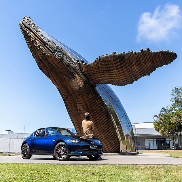 Big Whale