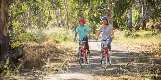  A man and a woman on matching red bicycles, going down a paved path in a sunny forest.