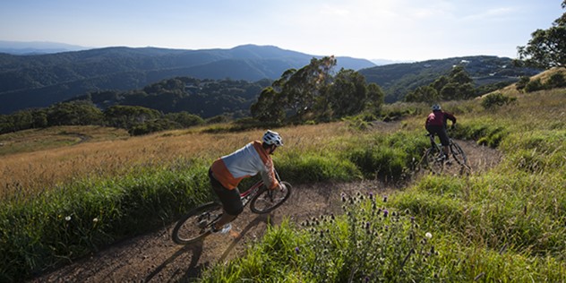 Two men on mountain bikes lean forward as they go down a path between rolling green hills, with tree-covered mountain ridges in the distance.