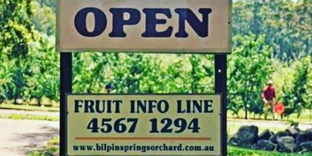 A homemade roadside sign with two sections, the top says Open in a 70s-style font, and below a second sign offers a ‘Fruit info line 4567 1294’ for Bilpin Springs Orchard.