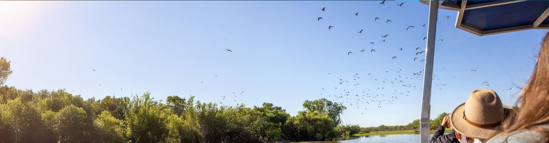 bird watching on the river