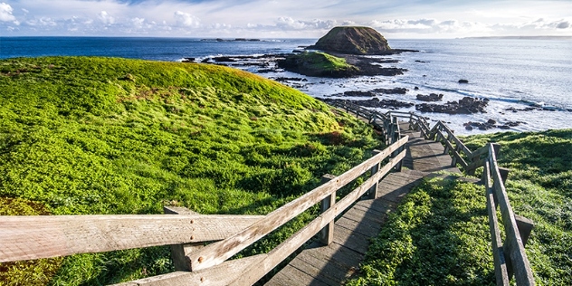 boardwalk Phillip Island VIC