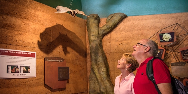 couple looking at a bat exhibit in the Bowali visitor centre