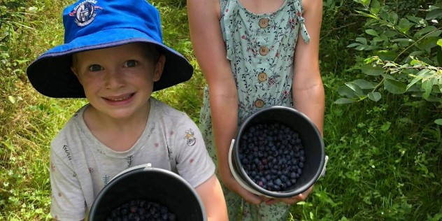 A boy in a blue sunhat and a girl in a dress stand in a grassy path between trees at Misty Valley orchard, holding a half-full buckets of blueberries. 