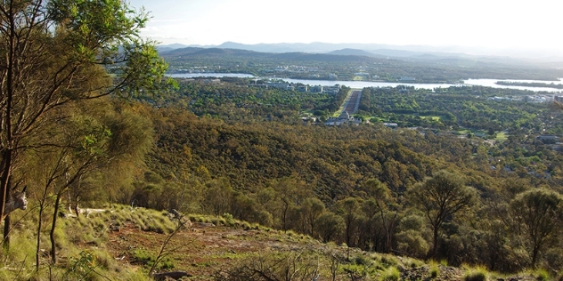 arial view across treetops of Brindabella National Park