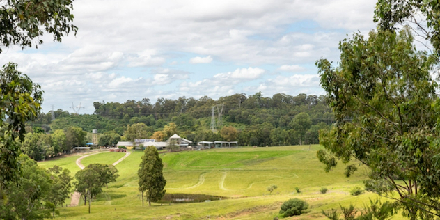  A green paddock leads to manicured grass, a small water tower and farm buildings along a treeline on a sunny day. 