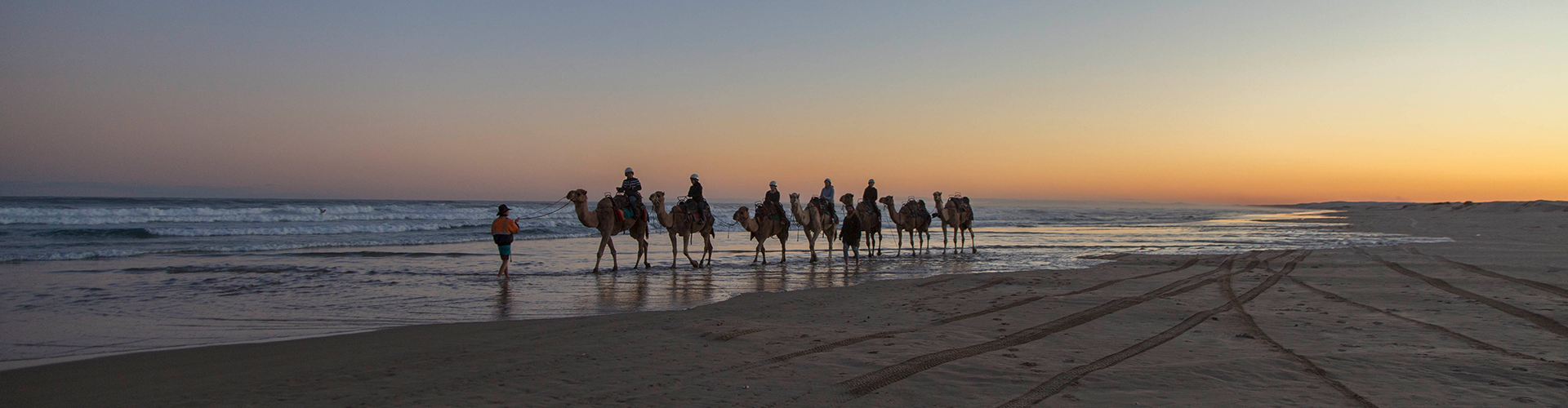 A caravan of camels with riders along the beach at sunset