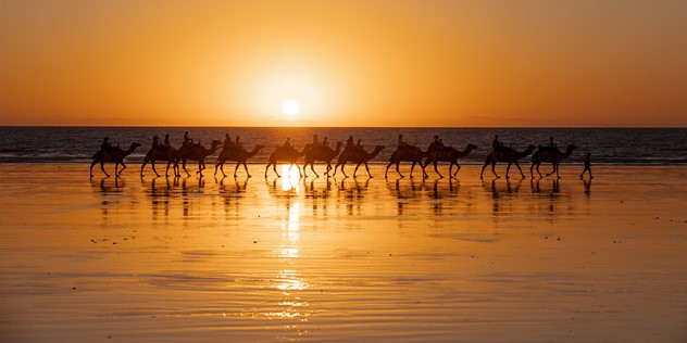 A silhouetted line of camels being ridden across a wet sand beach, the entire scene bathed in orange as the sun sets on the water.