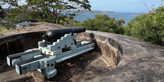 A black cannon sits in a shallow stone pit in a clearing surrounded by trees at the top of a cliff overlooking the ocean and a small island or peninsula, on a clear day.